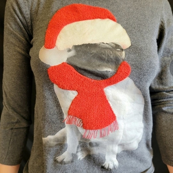 Pug sweater - Picture 3 of 4